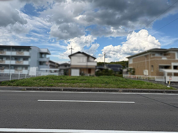 外観：325000131354
