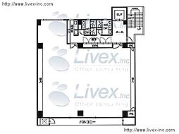 東信東池袋 5階/5階