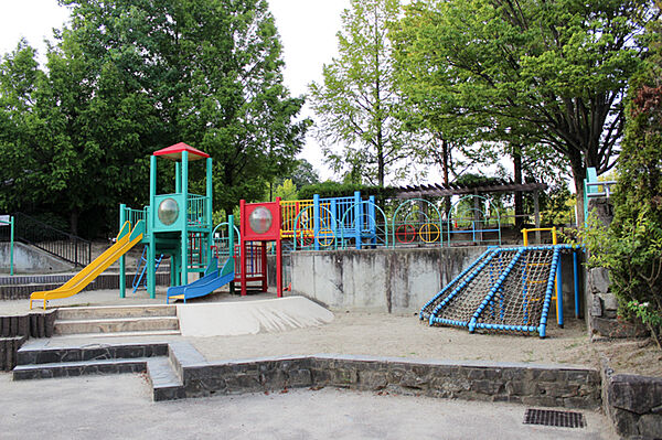 上の池公園（245m）