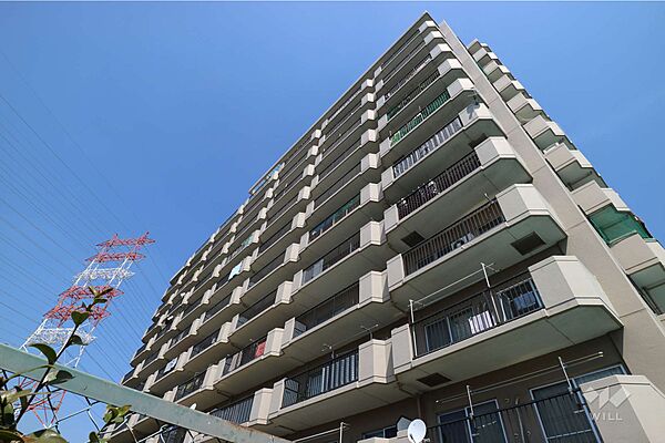 外観：328000564962