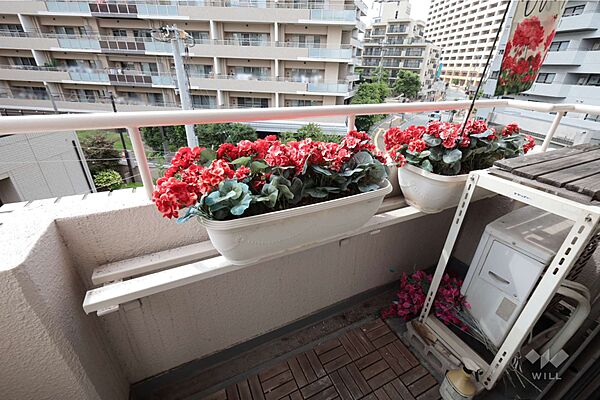バルコニー［2026年6月19日撮影］