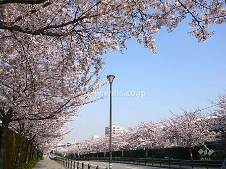 北側洋室4.7帖［2026年8月6日撮影］