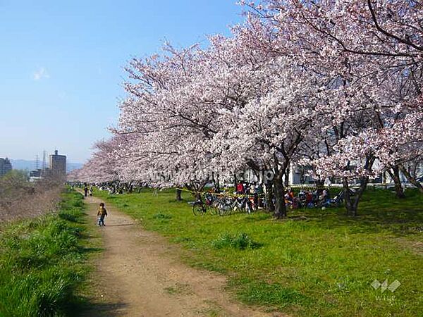 武庫川の外観