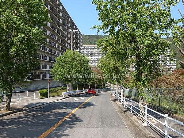 敷地南東側の前面道路。街路樹のきれいな通りです。