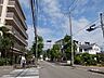 周辺：敷地の東側は街路樹のきれいな二車線のバス通りに面しています。