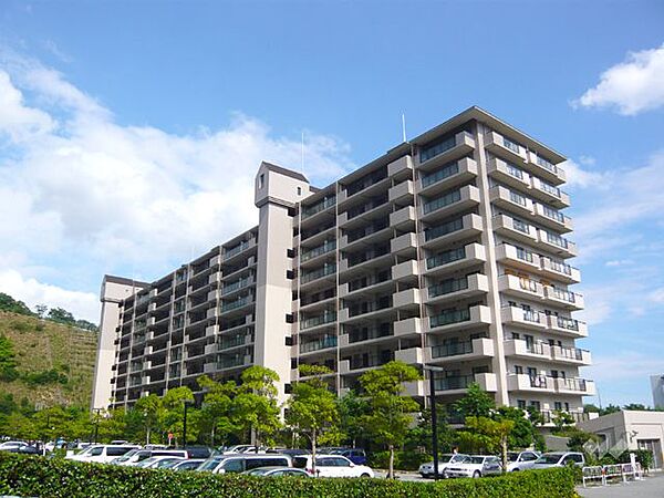 外観：328000685713