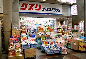 セレッソコートリバーサイド大阪  ｜ 大阪府大阪市淀川区十三東1丁目（賃貸マンション2LDK・13階・49.68㎡） その24