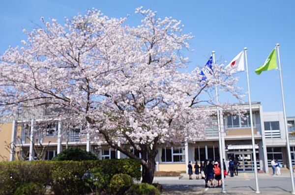茂原市立茂原中学校 徒歩2分。 150m