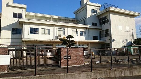 佐倉市立井野小学校 徒歩7分。 560m