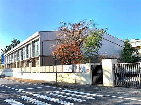 松戸市立第一中学校 徒歩12分。 900m