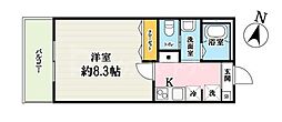 ソレイユ指扇土屋 1階/-