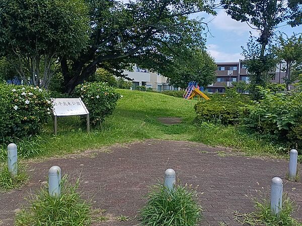源平島東公園（約500ｍ）