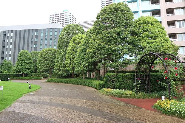 中央区立　石川島公園　徒歩1分です。