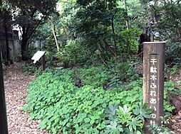 周辺施設の画像