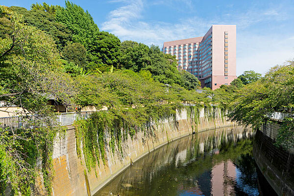 文京区立　江戸川公園　徒歩7分です。