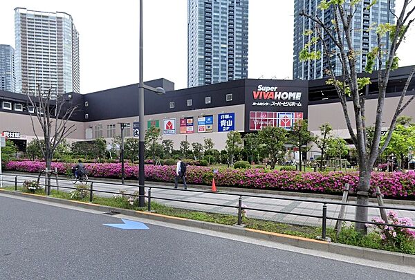 スーパービバホーム 豊洲店　（徒歩11分）