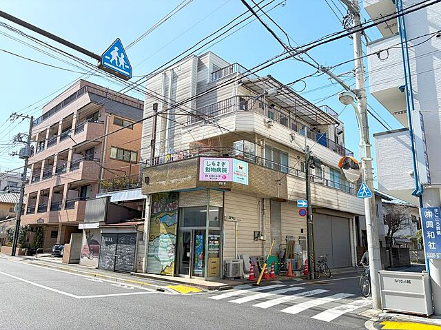 2 / 11