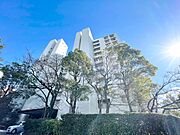 千里中央駅より徒歩7分 9階 築52年の賃貸物件