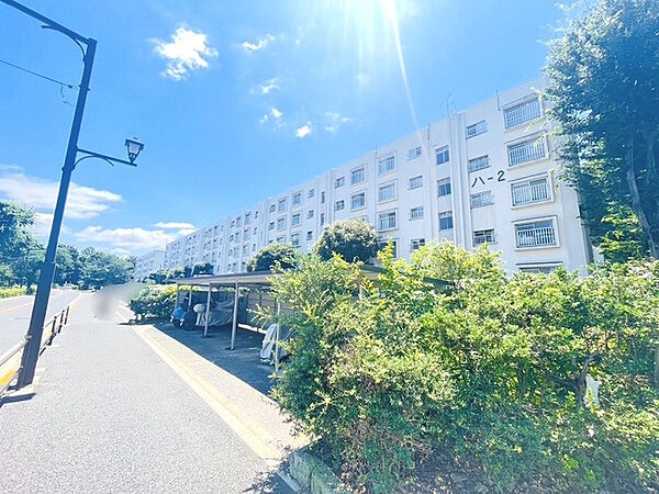 外観：313004810426