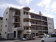 フォレスト8 3階 築33年11ヶ月の賃貸物件