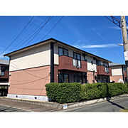 サンビレッジ浜野C棟 1階 築33年7ヶ月の賃貸物件