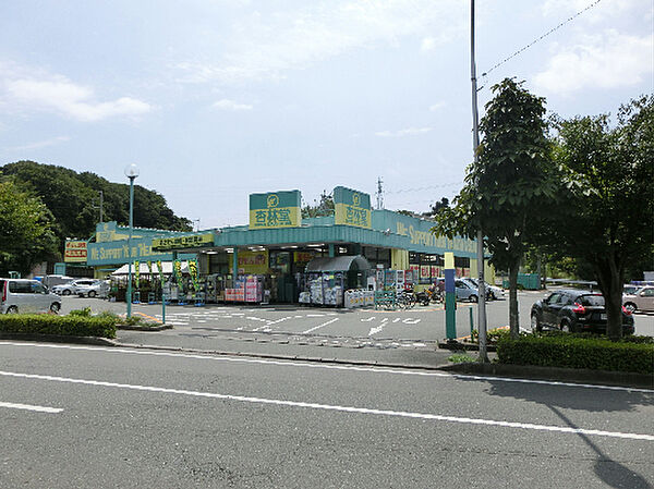 杏林堂ドラッグストア富塚店（732m）