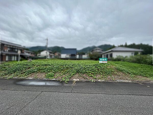 外観：325000131507