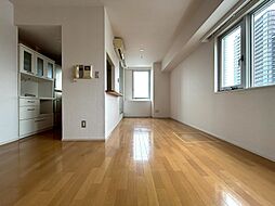 ザ・タワー芝浦 1LDKの室内