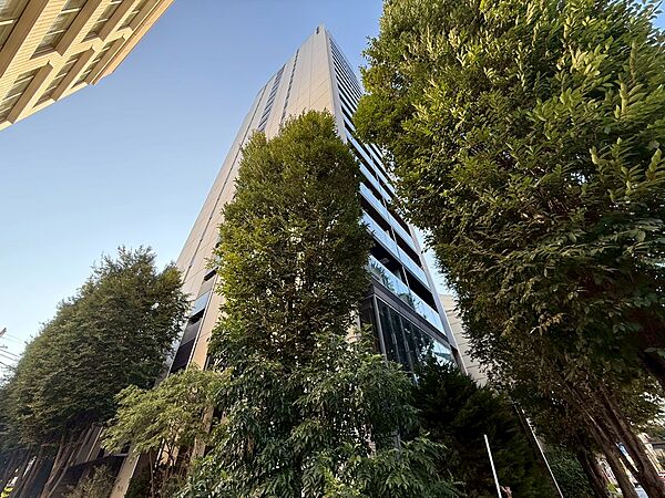 外観：313004393129