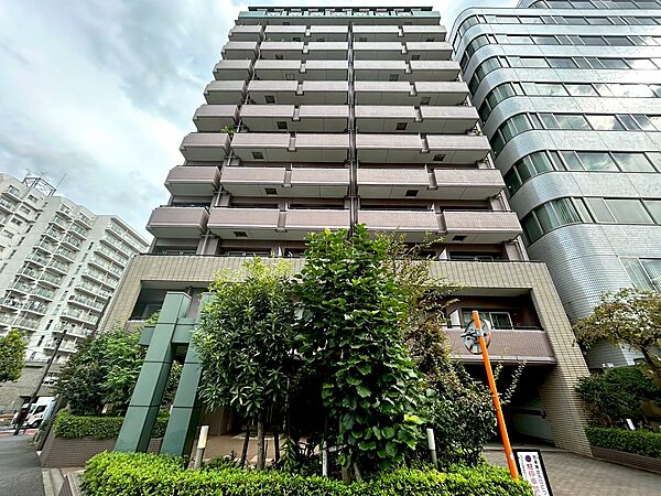 外観：313004417404