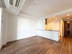 ザ・パークハウス西新宿タワー60 2LDKの室内