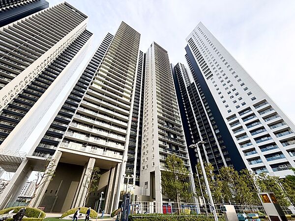 外観：313004616242