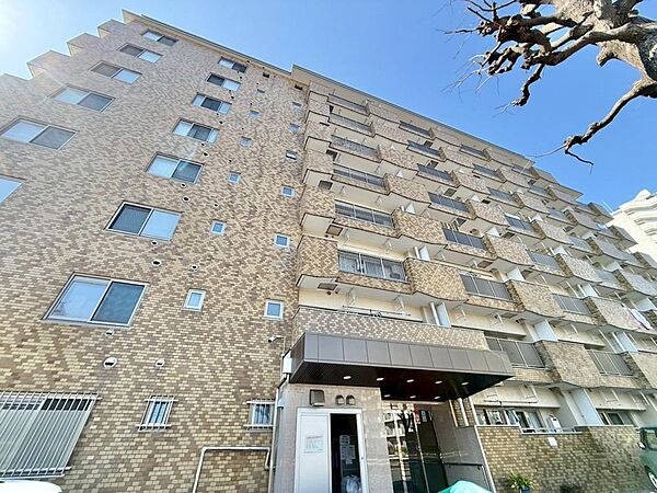 外観：313004632400