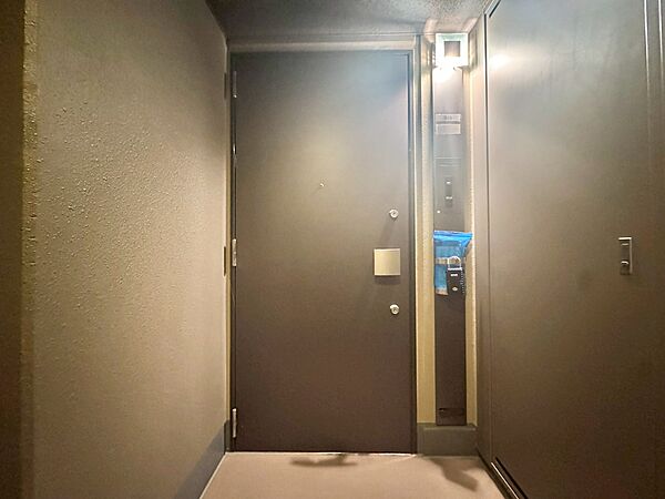 清潔感のある落ち着いた雰囲気の玄関です。
