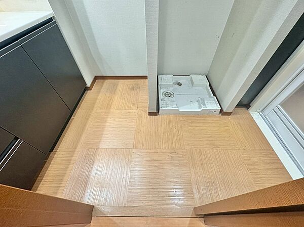 十分な広さの脱衣所。