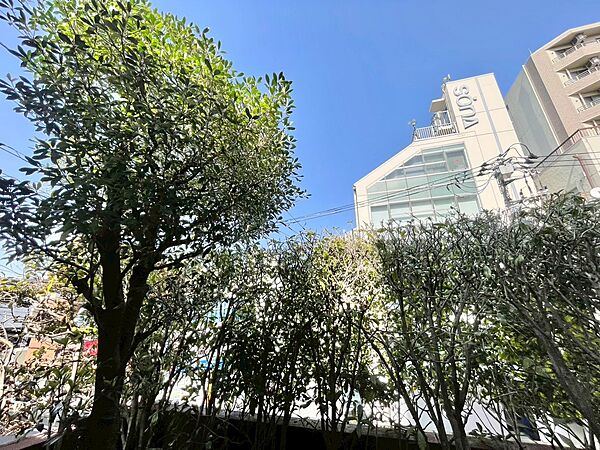 陽当たり・通風・開放感に恵まれた環境です。
