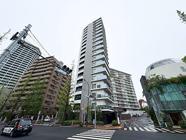 外観：313004710297