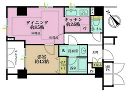 パロス新富町 1DKの間取図画像