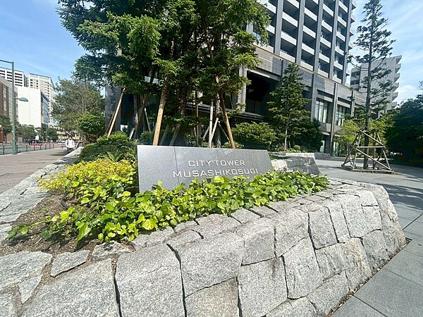 清潔感のある落ち着いた雰囲気の玄関です。