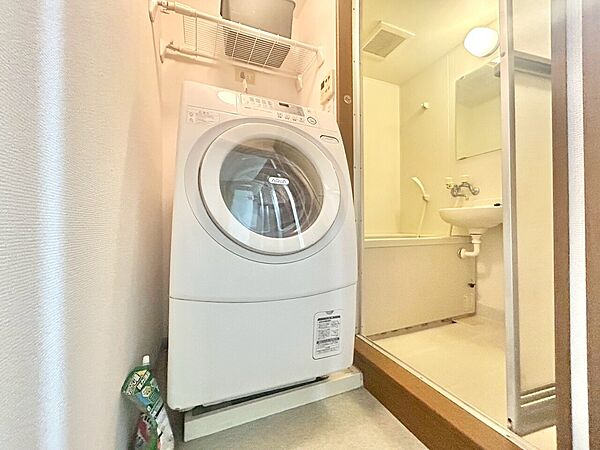 十分な広さの脱衣所。