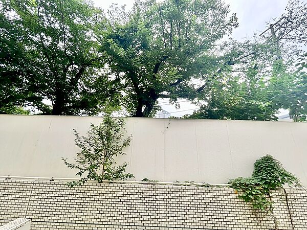 陽当たり・通風・開放感に恵まれた環境です。