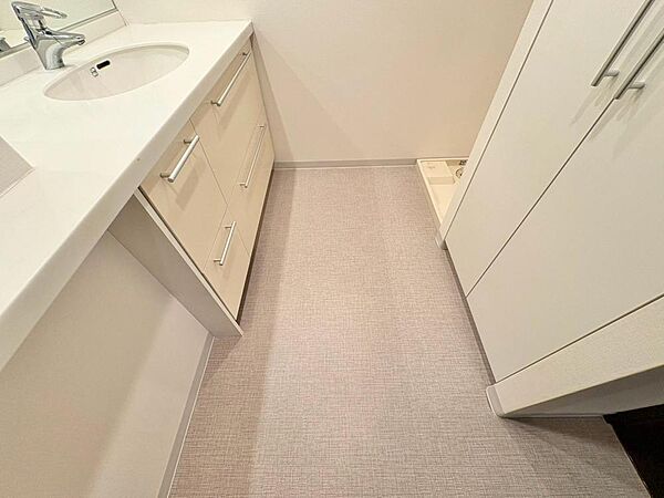 十分な広さの脱衣所。