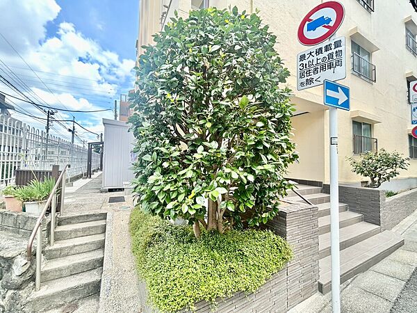 マンションの敷地内には、中庭もございます。