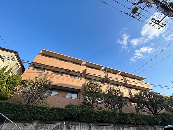 外観：313004864246