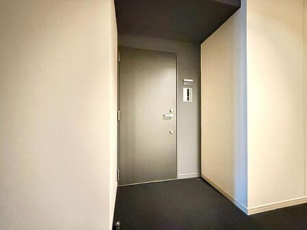 清潔感のある落ち着いた雰囲気の玄関です。