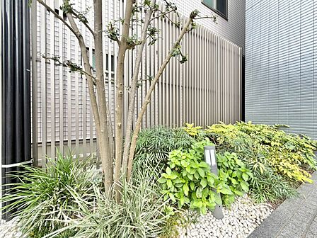 マンションの敷地内には、中庭もございます。