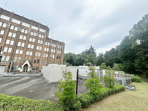 眺望や窓からの景色が良いと、家で過ごす時間も快適です。