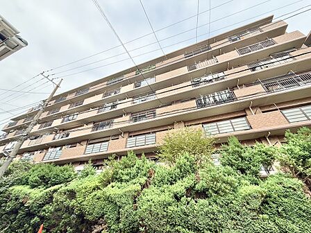 忙しく過ぎゆく日常を置き去るほど、ゆったりした時間が流れる住環境。