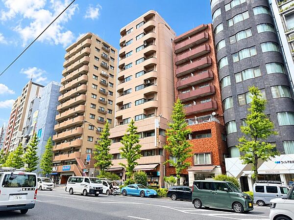 外観：313004876528