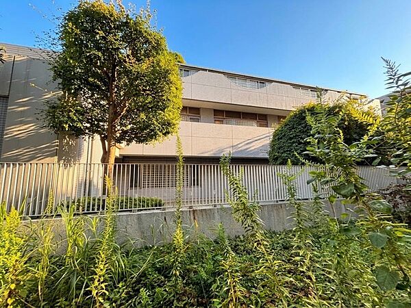 陽当たり・通風・開放感に恵まれた環境です。